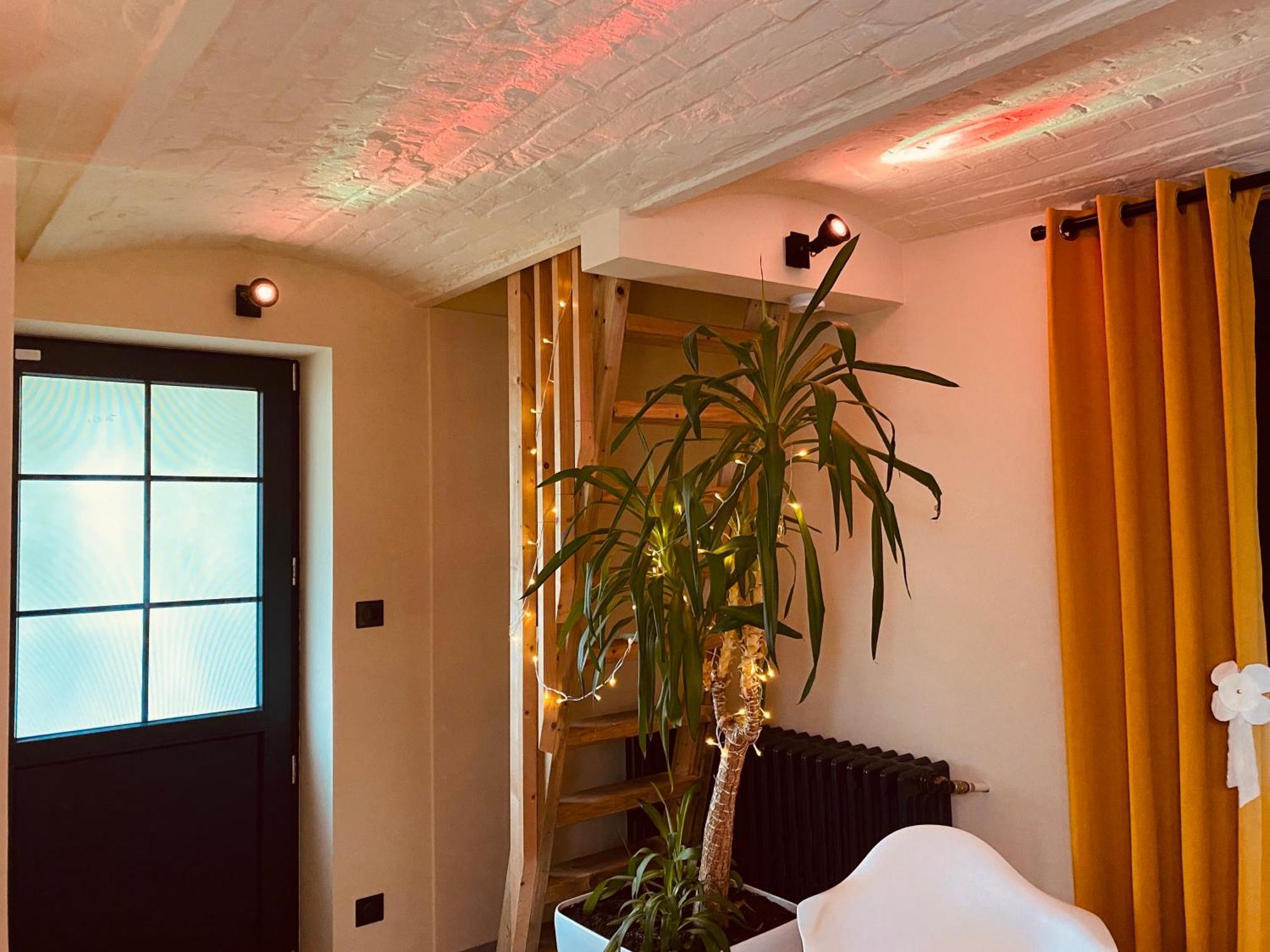 La Villa Des Roses - Suite & Spa Lys-lez-Lannoy エクステリア 写真