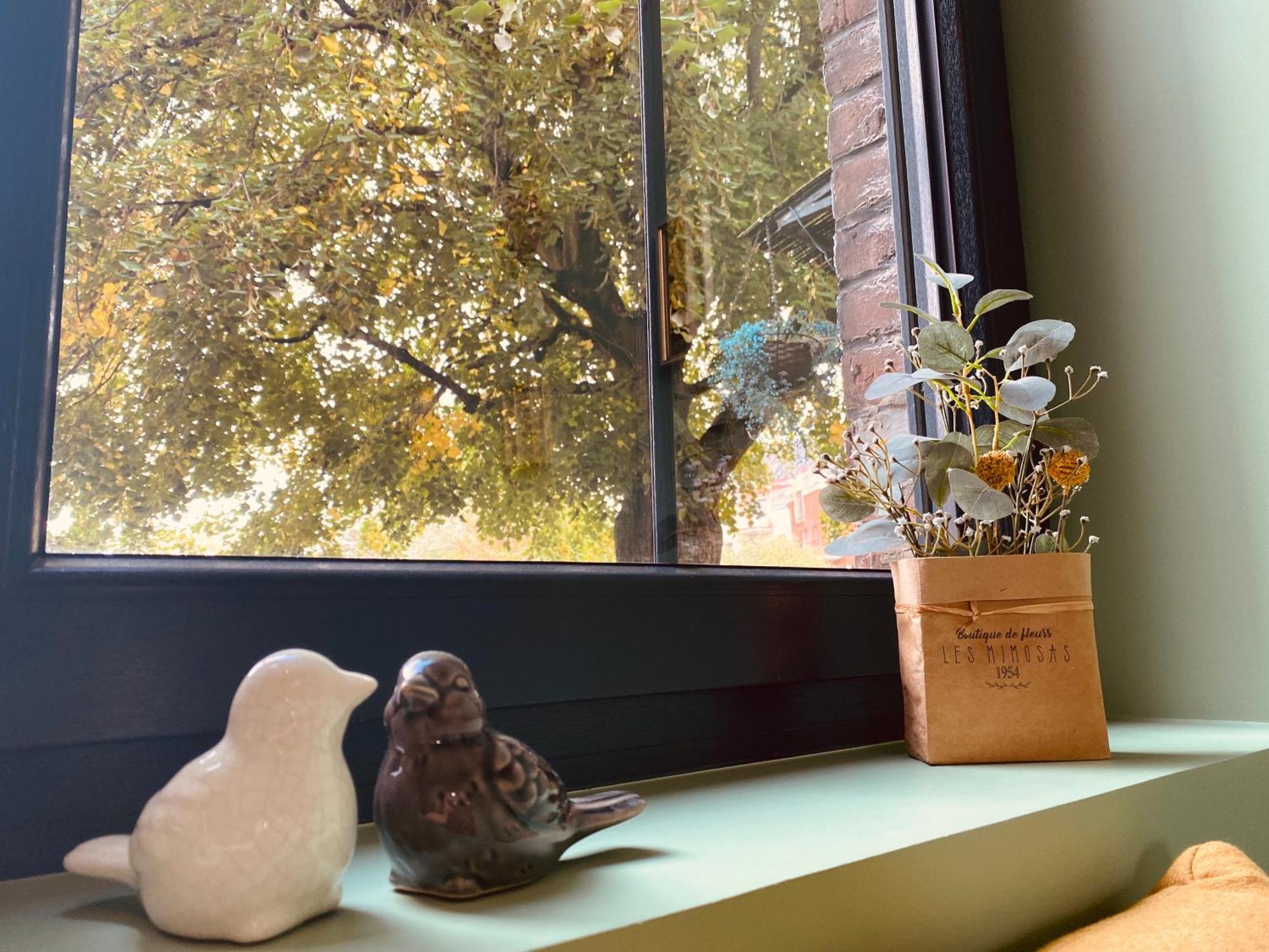 La Villa Des Roses - Suite & Spa Lys-lez-Lannoy エクステリア 写真
